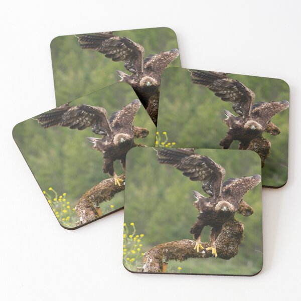 Item preview, Golden eagle takes off designed and sold by AndrewJonesFoto.