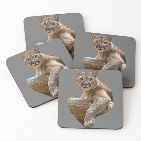 Item preview, The look Panther fashion designed and sold by Dalyndigital Photography.
