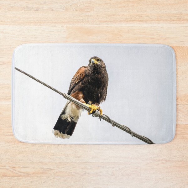 Item preview, Harris's Hawk Perched on Power Line designed and sold by Debra Martz.