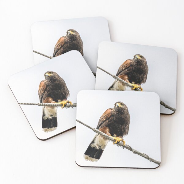 Item preview, Harris's Hawk Perched on Power Line designed and sold by Debra Martz.