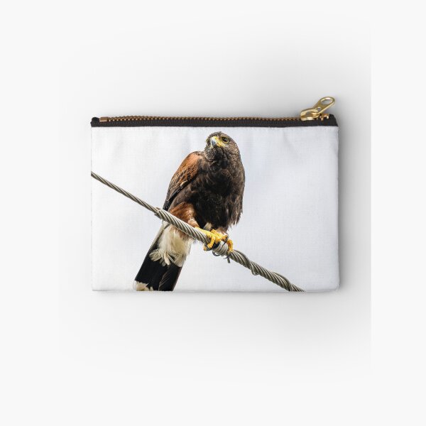 Item preview, Harris's Hawk Perched on Power Line designed and sold by Debra Martz.