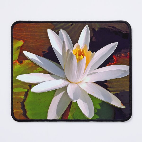 Item preview, Water Lily — Serene Pond Floral Wall Art designed and sold by DBM Photo Gallery 1.