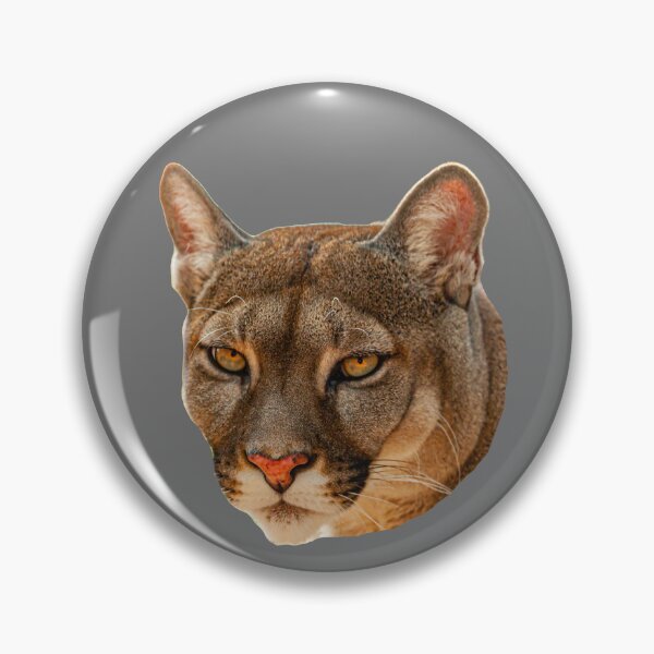 Item preview, Panther eyes designed and sold by Dalyndigital Photography.