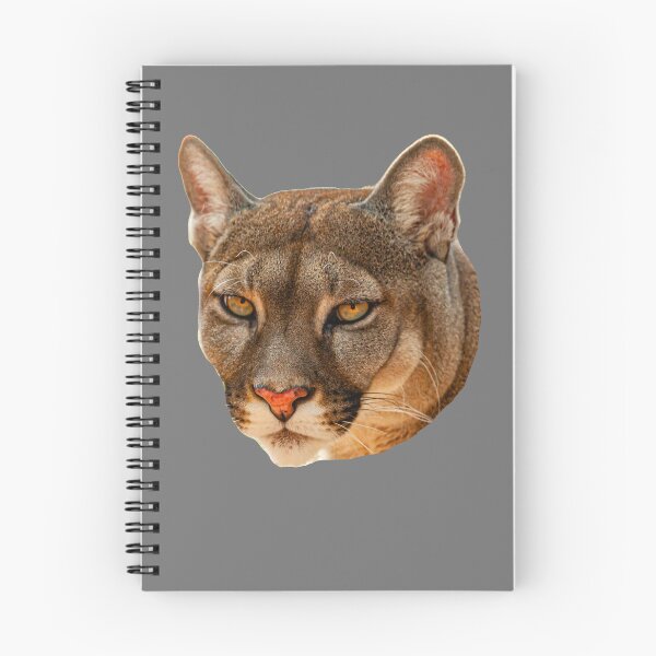 Artikelvorschau, Pantheraugen entworfen und verkauft von Dalyndigital Photography.