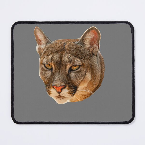 Item preview, Panther eyes designed and sold by Dalyndigital Photography.