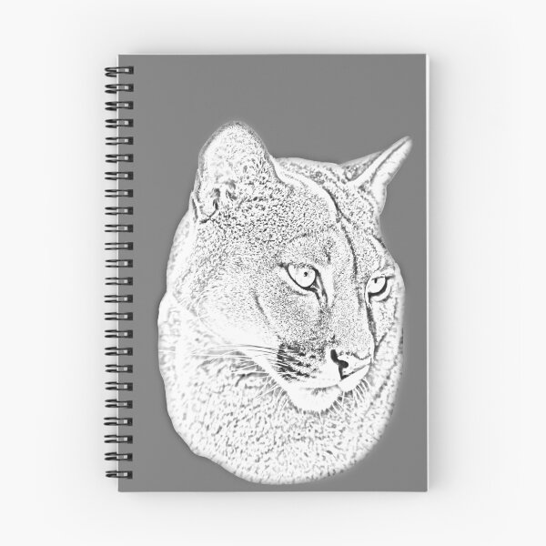 Artikelvorschau, Das Aussehen eines Panthers – eine Umwandlung in eine Zeichnung entworfen und verkauft von Dalyndigital Photography.