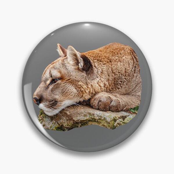 Item preview,  Panther waiting to pounce designed and sold by Dalyndigital Photography.