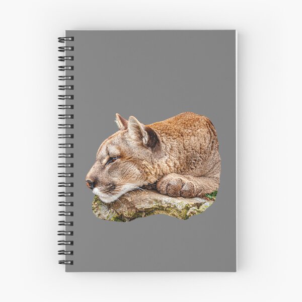 Item preview,  Panther waiting to pounce designed and sold by Dalyndigital Photography.