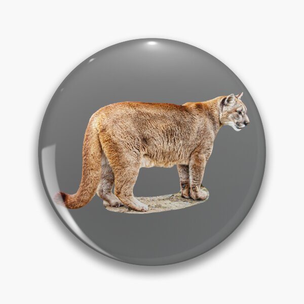 Item preview, Full body image of a Panther  designed and sold by Dalyndigital Photography.