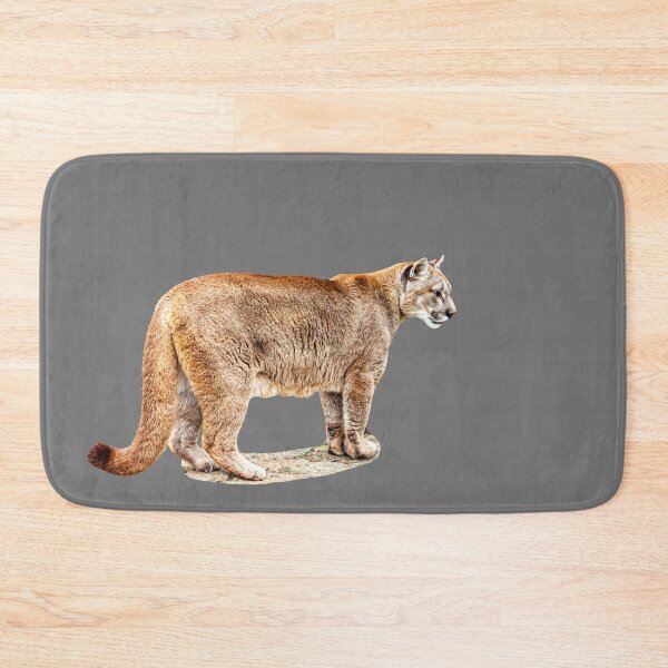 Item preview, Full body image of a Panther  designed and sold by Dalyndigital Photography.