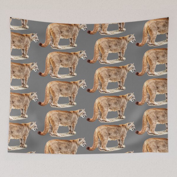 Item preview, Full body image of a Panther  designed and sold by Dalyndigital Photography.