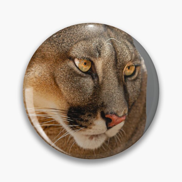 Item preview, The look of a Panther designed and sold by Dalyndigital Photography.