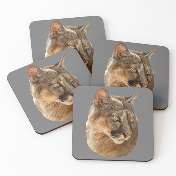 Item preview, The look of a Panther designed and sold by Dalyndigital Photography.