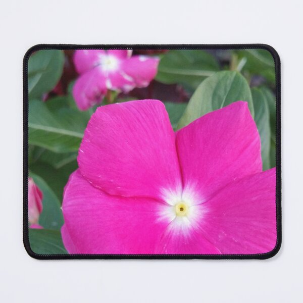 Item preview, Impatiens DPSS20170522b designed and sold by CSteenArt.