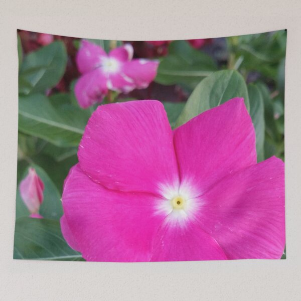 Item preview, Impatiens DPSS20170522b designed and sold by CSteenArt.