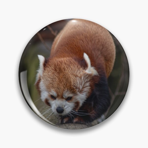 Item preview, Windy Panda designed and sold by brynmelys.