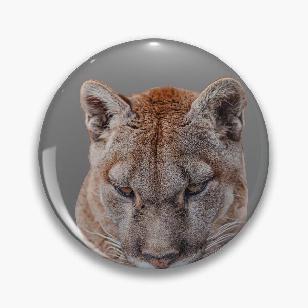 Item preview, Panther eyes designed and sold by Dalyndigital Photography.