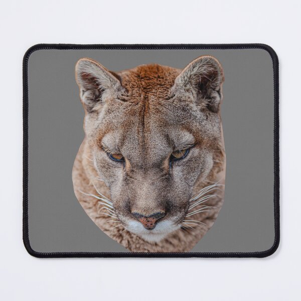 Item preview, Panther eyes designed and sold by Dalyndigital Photography.
