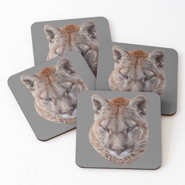 Item preview, Panther eyes designed and sold by Dalyndigital Photography.