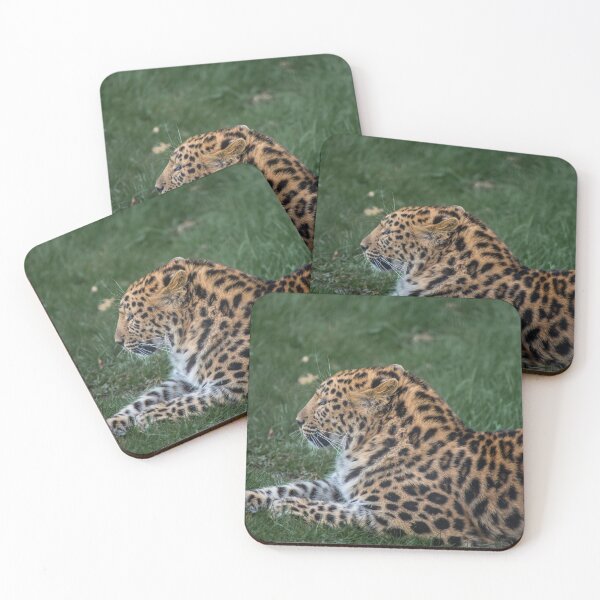 Item preview, Leopard Lines designed and sold by brynmelys.