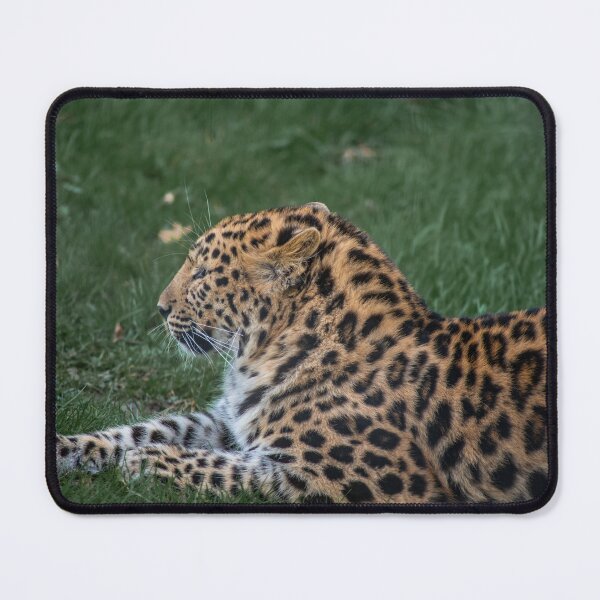 Item preview, Leopard Lines designed and sold by brynmelys.