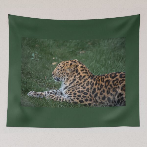 Item preview, Leopard Lines designed and sold by brynmelys.