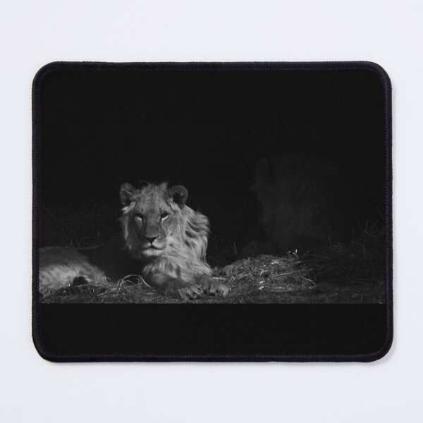 Item preview, Waiting Lion designed and sold by brynmelys.