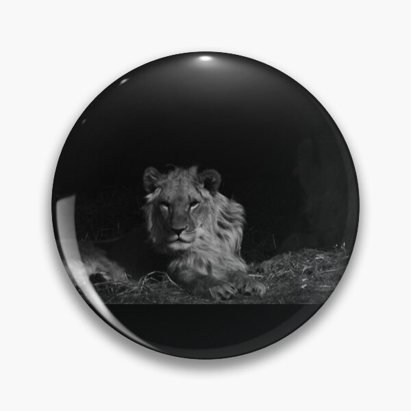Item preview, Waiting Lion designed and sold by brynmelys.