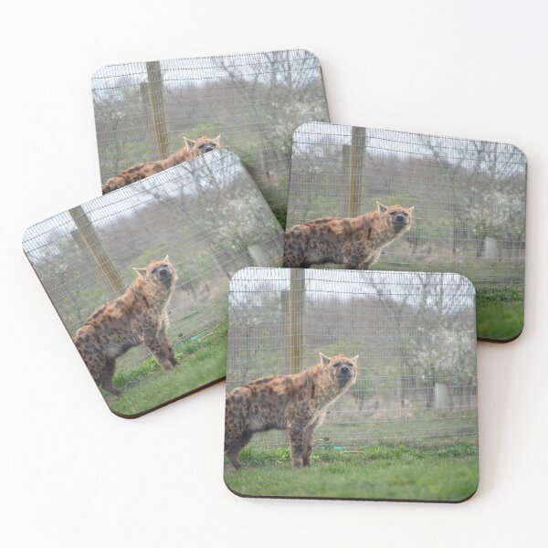 Item preview, Who's Laughing? designed and sold by brynmelys.
