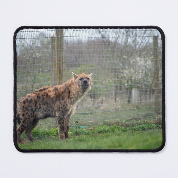 Item preview, Who's Laughing? designed and sold by brynmelys.