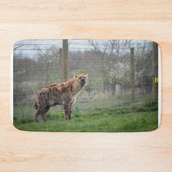 Item preview, Who's Laughing? designed and sold by brynmelys.