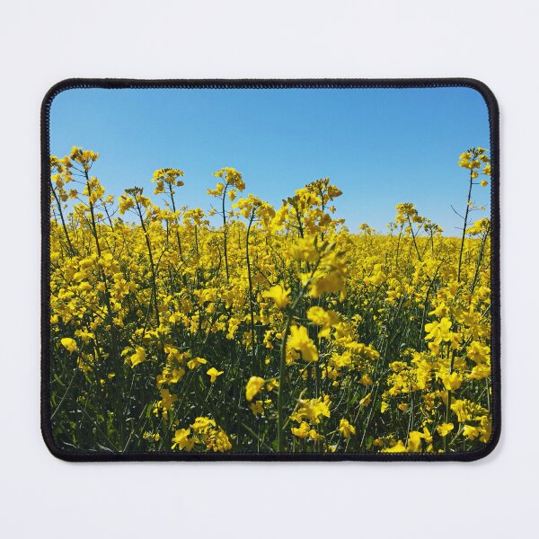 Item preview, Rapeseed Field Close-Up designed and sold by inspiration3.
