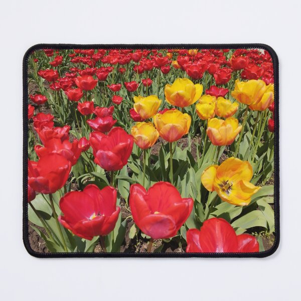 Item preview, Red and Yellow Tulips designed and sold by inspiration3.