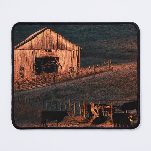 Item preview, Accommodating Light designed and sold by Jim Love.