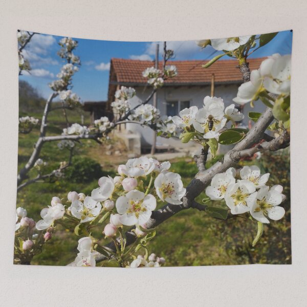 Item preview, Pear Blossoms Close-Up in Front of a Small Village House designed and sold by inspiration3.