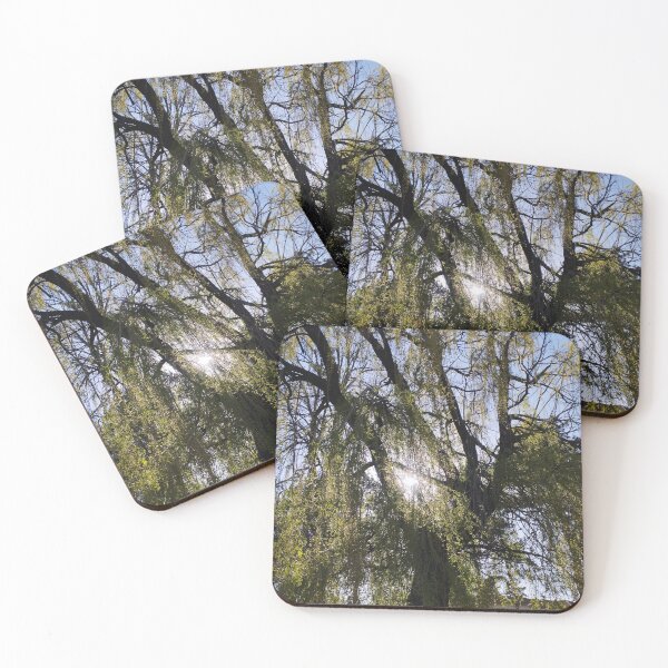 Item preview, Sunlight Through Weeping Willow designed and sold by inspiration3.