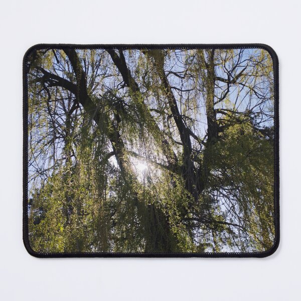 Item preview, Sunlight Through Weeping Willow designed and sold by inspiration3.