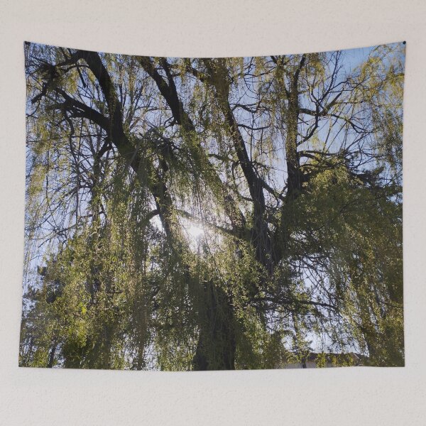 Item preview, Sunlight Through Weeping Willow designed and sold by inspiration3.