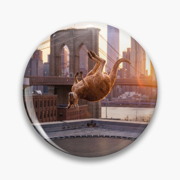 Item preview, New York City Kangaroo Bounces on Trampoline designed and sold by Tridentulus.