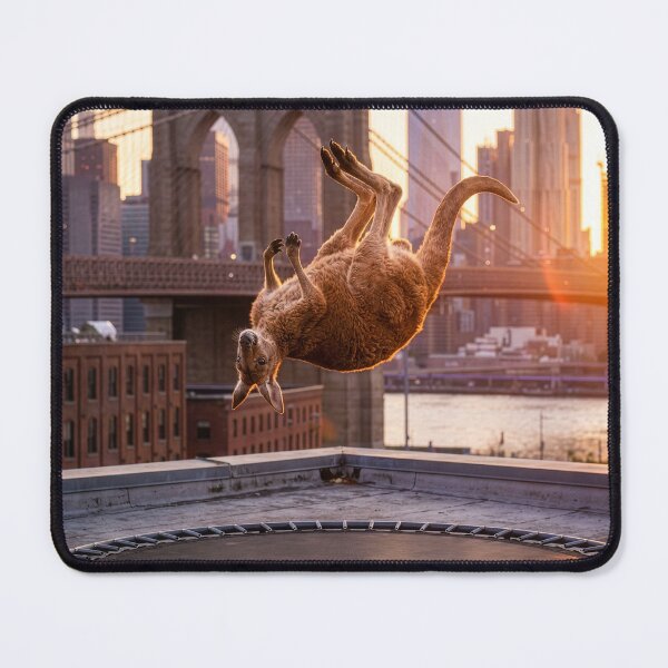 Item preview, New York City Kangaroo Bounces on Trampoline designed and sold by Tridentulus.