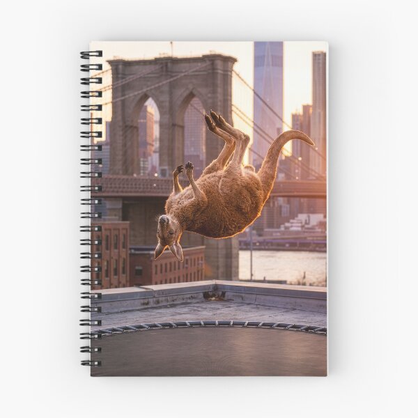 Item preview, New York City Kangaroo Bounces on Trampoline designed and sold by Tridentulus.