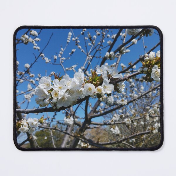 Item preview, Cherry Blossoms Close-Up designed and sold by inspiration3.
