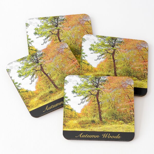 Item preview, Path in a Forest in Autumn, Pocono Mountains, Pennsylvania designed and sold by AMacGPhilly.