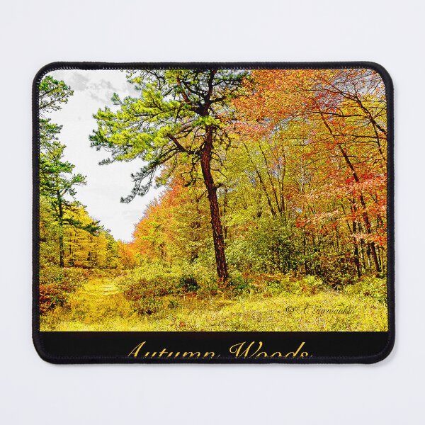 Item preview, Path in a Forest in Autumn, Pocono Mountains, Pennsylvania designed and sold by AMacGPhilly.