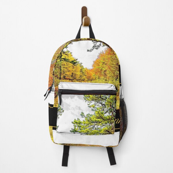 Item preview, Path in a Forest in Autumn, Pocono Mountains, Pennsylvania designed and sold by AMacGPhilly.