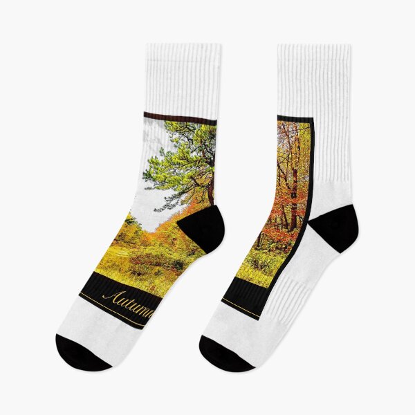 Item preview, Path in a Forest in Autumn, Pocono Mountains, Pennsylvania designed and sold by AMacGPhilly.