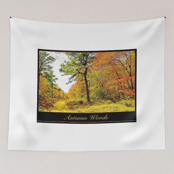 Item preview, Path in a Forest in Autumn, Pocono Mountains, Pennsylvania designed and sold by AMacGPhilly.