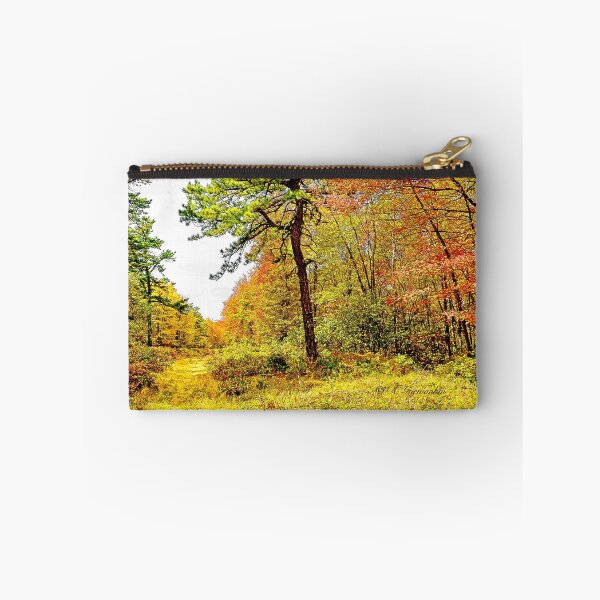 Item preview, Path in a Forest in Autumn, Pocono Mountains, Pennsylvania designed and sold by AMacGPhilly.