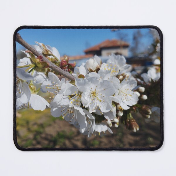 Item preview, Cherry Blossoms Close-Up designed and sold by inspiration3.