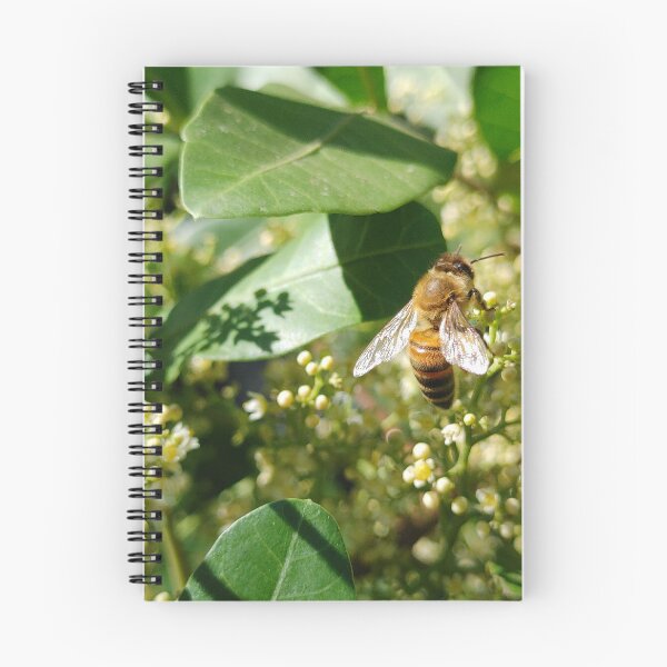 Item preview, Bee Happy designed and sold by Fynns Photography.